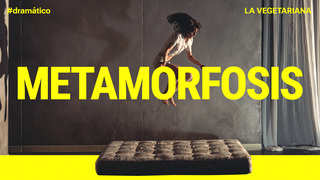 metamorfosis